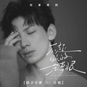 不起眼的杂草根钢琴简谱 数字双手