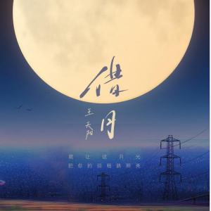 借月—王天阳【G调简单入门版】-钢琴谱