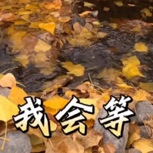 我会等钢琴简谱 数字双手 路夕月