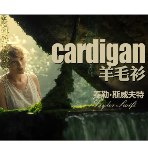 新手简单好听版《Cardigan（羊毛衫）》泰勒斯威夫特By~星之钢琴~-钢琴谱