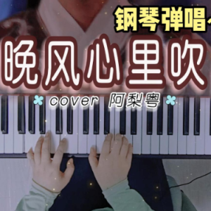 晚风心里吹（b小调/D 弹唱伴奏谱）完美还原 超好听-钢琴谱