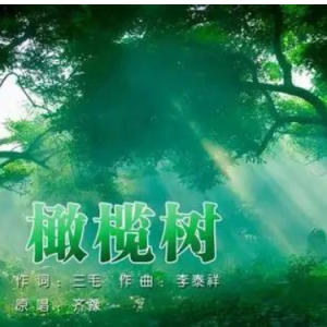 橄榄树钢琴简谱 数字双手