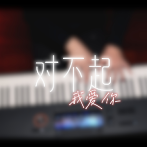对不起我爱你【超好听独奏版】泽大大 龙飞龙泽钢琴谱