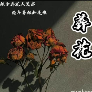 《葬花》原调纯音乐演奏版-钢琴谱
