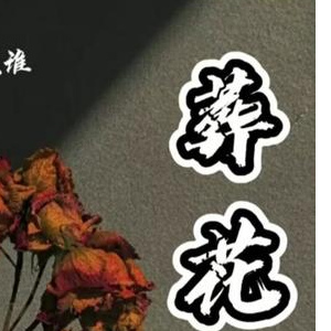 《葬花》欢快版-钢琴谱