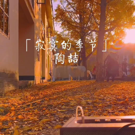 寂寞的季节钢琴简谱 数字双手