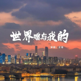 世界赠予我的  C调简易钢琴弹唱 带歌词 王菲-钢琴谱