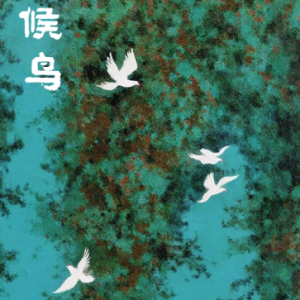 Migratory birds钢琴简谱 数字双手