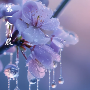 My Morning Song钢琴简谱 数字双手