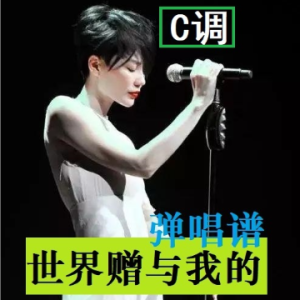 世界赠予我的 C调-钢琴谱