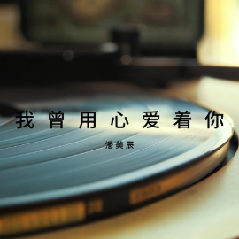 我曾用心爱着你钢琴简谱 数字双手