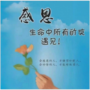感恩的心钢琴简谱 数字双手