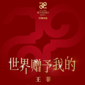 世界赠予我的【完美弹唱附词】王菲 泽大大