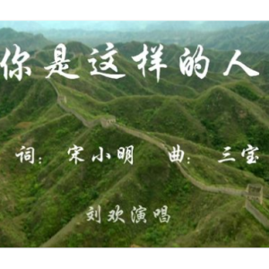 你是这样的人-钢琴谱