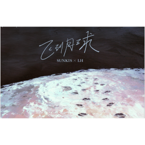 飞到月球钢琴简谱 数字双手