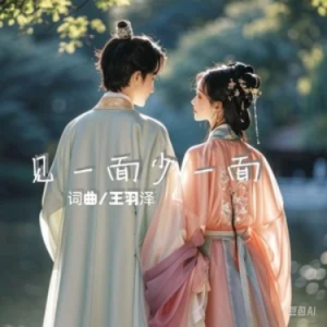 见一面少一面（有些人不会再遇见）C调