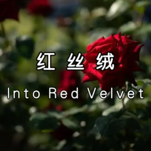 Into Red Velvet钢琴简谱 数字双手