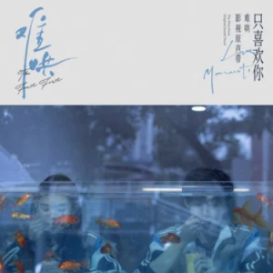 像晴天像雨天钢琴简谱 数字双手