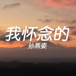 《我怀念的》（简易片段）经典抒情-钢琴谱