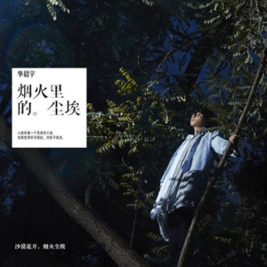 烟火里的尘埃 原调 好听易上手-钢琴谱