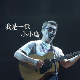 我是一只小小鸟钢琴简谱 数字双手