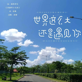 世界这么大还是遇见你钢琴简谱 数字双手