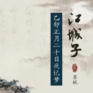 江城子·乙卯正月二十日夜记梦钢琴简谱 数字双手 苏轼
