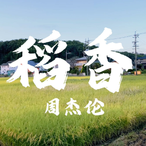 稻香钢琴简谱 数字双手