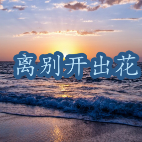 离别开出花钢琴简谱 数字双手