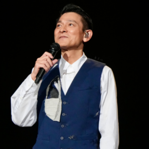 刘德华歌曲串烧（一）C调 好听易上手-钢琴谱