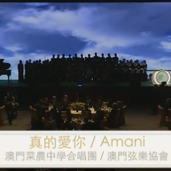 真的爱你+Amani钢琴简谱 数字双手 梁美薇
