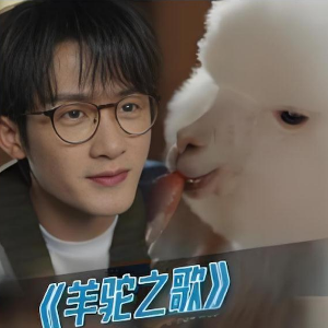 羊驼之歌钢琴简谱 数字双手 董冬冬