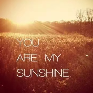 You are my sunshine钢琴简谱 数字双手