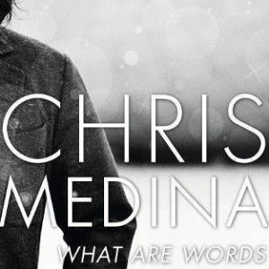 What are words 弹唱伴奏谱-钢琴谱
