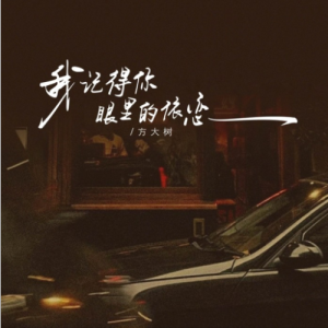 我记得你眼里的依恋（方大树）C调