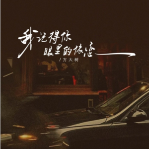 我记得你眼里的依恋（方大树）原调