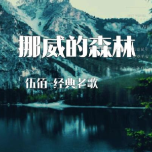 挪威的森林 简易版 伍佰 流行经典