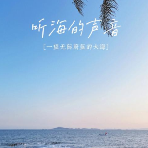 听海  原调简易钢琴弹唱 带歌词 张惠妹 流行经典-钢琴谱