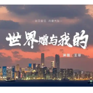 世界赠予我的C调简易版-钢琴谱