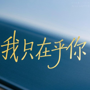 我只在乎你钢琴简谱 数字双手 慎芝