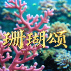 珊瑚颂简易版钢琴谱