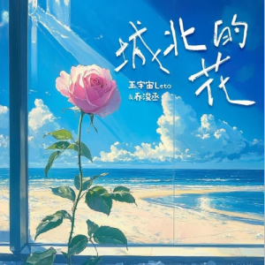 城北的花（C调）-钢琴谱