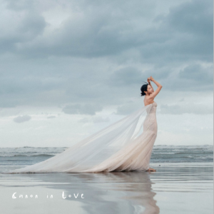 Canon In Love钢琴简谱 数字双手