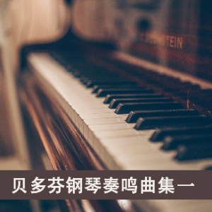 悲怆第一乐章钢琴简谱 数字双手