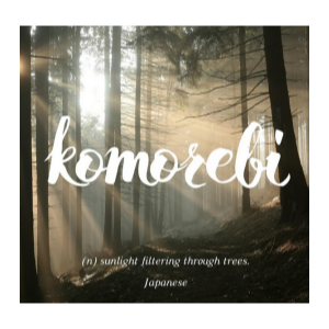 KOMOREBI C调简易好听-钢琴谱