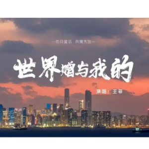 世界赠予我的钢琴简谱 数字双手 袁晶