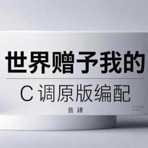 世界赠予我的钢琴简谱 数字双手 袁晶
