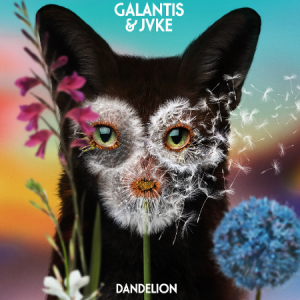 Dandelion - Galantis / JVKE-钢琴谱