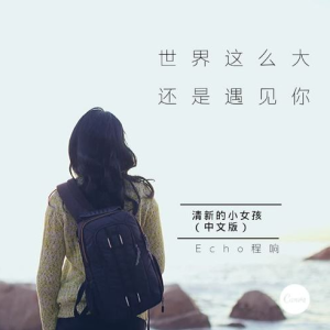 世界这么大还是遇见你钢琴简谱 数字双手