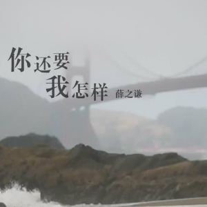 你还要我怎样-钢琴谱